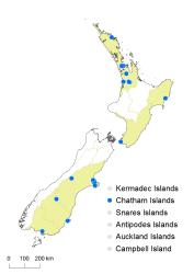Cystopteris fragilis distribution map based on databased records at AK, CHR & WELT.
 Image: K.Boardman © Landcare Research 2018 CC BY 4.0